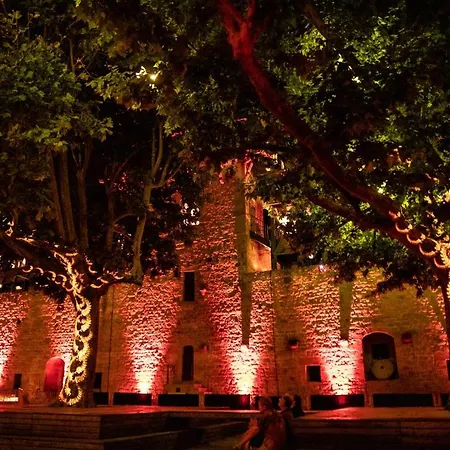 公寓 Confort ! Calme, Climatisation, Vue Degagee, ,parking Gratuit, Ascenseur, Wifi 卡尔卡松