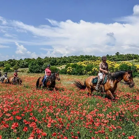 Confort ! Calme, Climatisation, Vue Degagee, ,parking Gratuit, Ascenseur, Wifi *