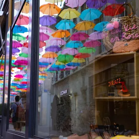 Confort ! Calme, Climatisation, Vue Degagee, ,parking Gratuit, Ascenseur, Wifi * カルカソンヌ