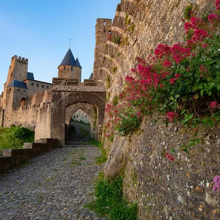 Confort ! Calme, Climatisation, Vue Degagee, ,parking Gratuit, Ascenseur, Wifi 公寓 卡尔卡松