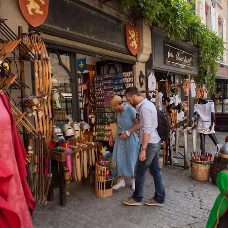 Confort ! Calme, Climatisation, Vue Degagee, ,parking Gratuit, Ascenseur, Wifi * 卡尔卡松