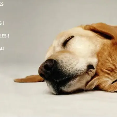 Confort ! Calme, Climatisation, Vue Degagee, ,parking Gratuit, Ascenseur, Wifi 公寓 *