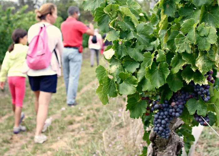 Confort ! Calme, Climatisation, Vue Degagee, ,parking Gratuit, Ascenseur, Wifi Apartment *