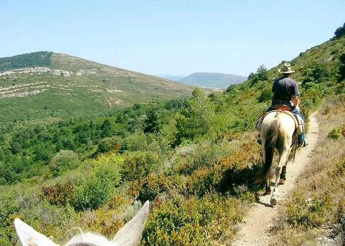 Confort ! Calme, Climatisation, Vue Degagee, ,parking Gratuit, Ascenseur, Wifi Carcassonne