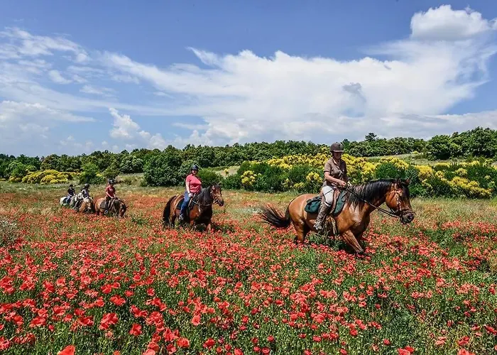 Confort ! Calme, Climatisation, Vue Degagee, ,parking Gratuit, Ascenseur, Wifi *