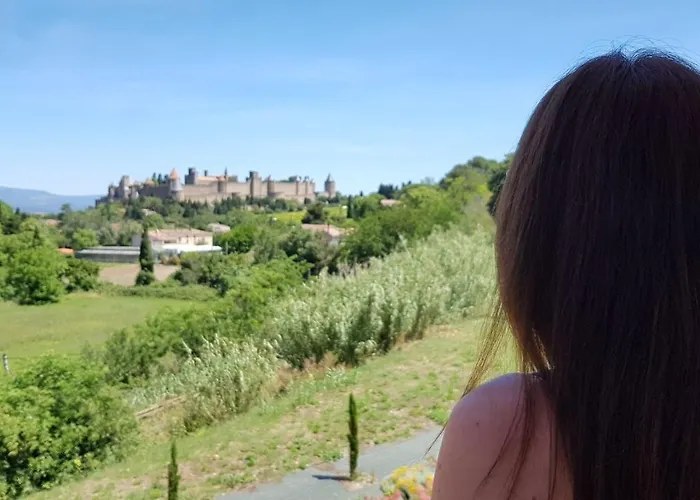 Confort ! Calme, Climatisation, Vue Degagee, ,parking Gratuit, Ascenseur, Wifi Carcassonne