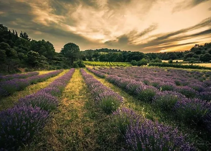 Confort ! Calme, Climatisation, Vue Degagee, ,parking Gratuit, Ascenseur, Wifi * Carcassonne
