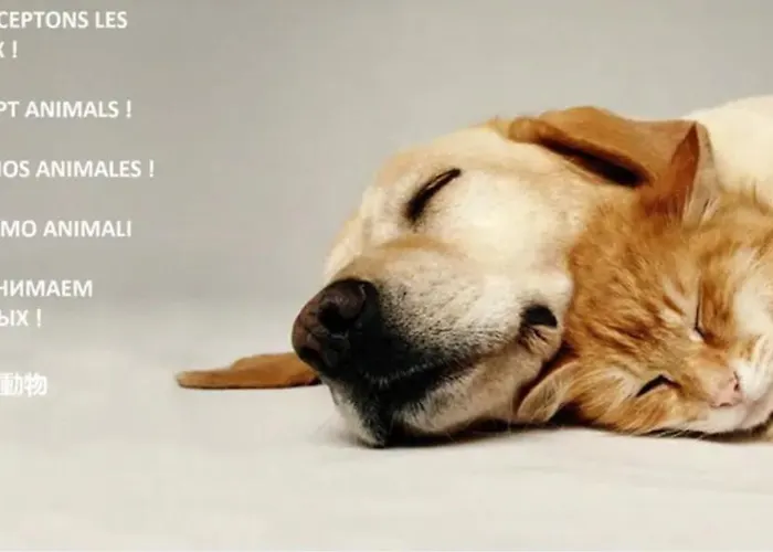 Confort ! Calme, Climatisation, Vue Degagee, ,parking Gratuit, Ascenseur, Wifi Apartment *