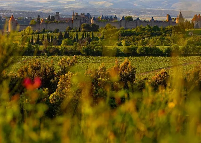 Confort ! Calme, Climatisation, Vue Degagee, ,parking Gratuit, Ascenseur, Wifi Carcassonne